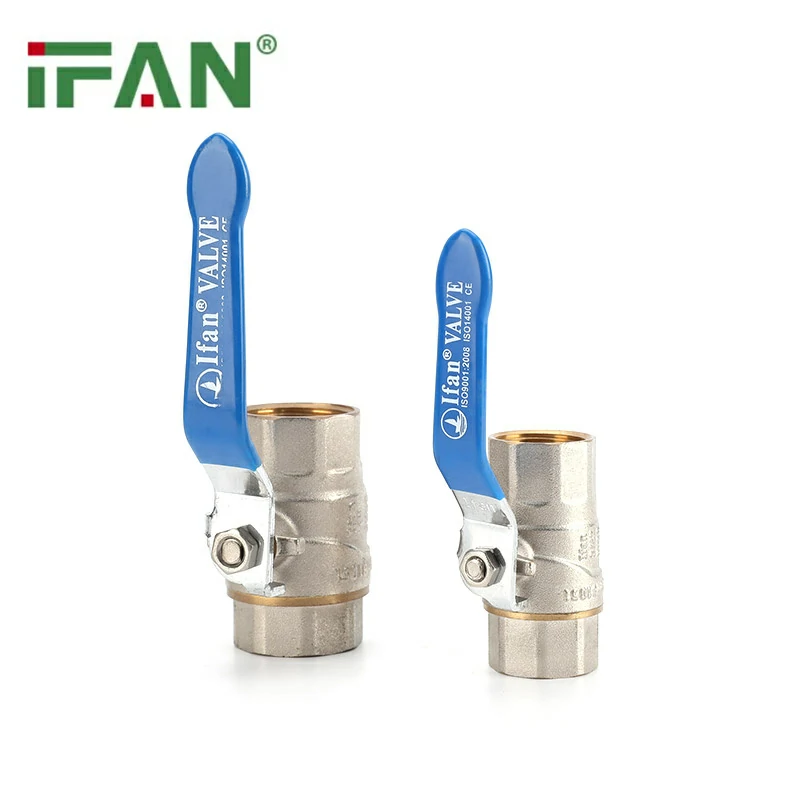 IFAN 81051 Van bóng tay cầm dài màu xanh